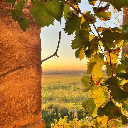 Masseria Vigneri - Gia Casino Vigneri