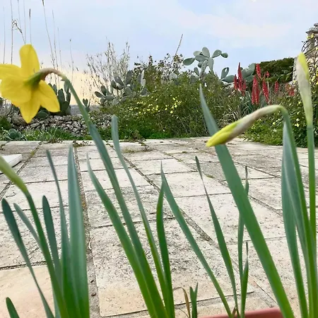 Penzion Masseria Vigneri - Gia Casino Vigneri *
