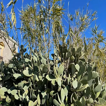 Masseria Vigneri - Gia Casino Vigneri Penzion Trepuzzi