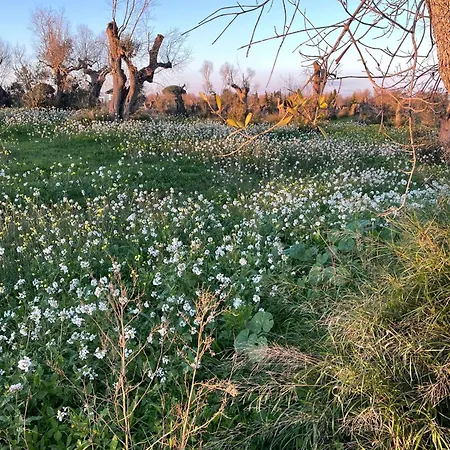 Affittacamere Casino Vigneri Trepuzzi