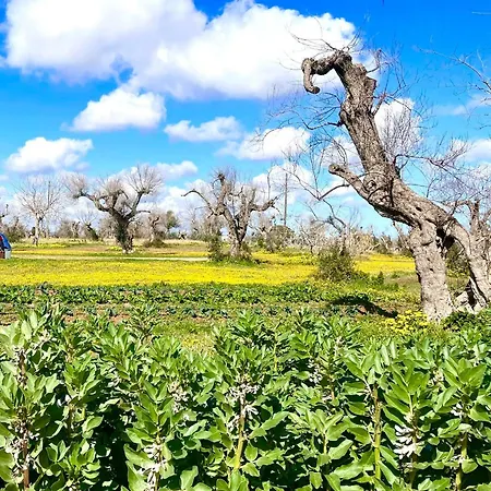 Casino Vigneri *