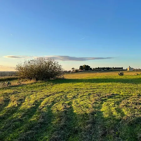 Casino Vigneri Trepuzzi