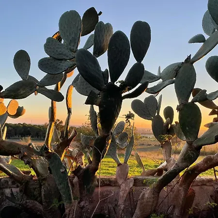 Masseria Vigneri - Gia Casino Vigneri * Trepuzzi