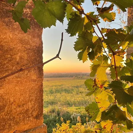 Masseria Vigneri - Gia Casino Vigneri